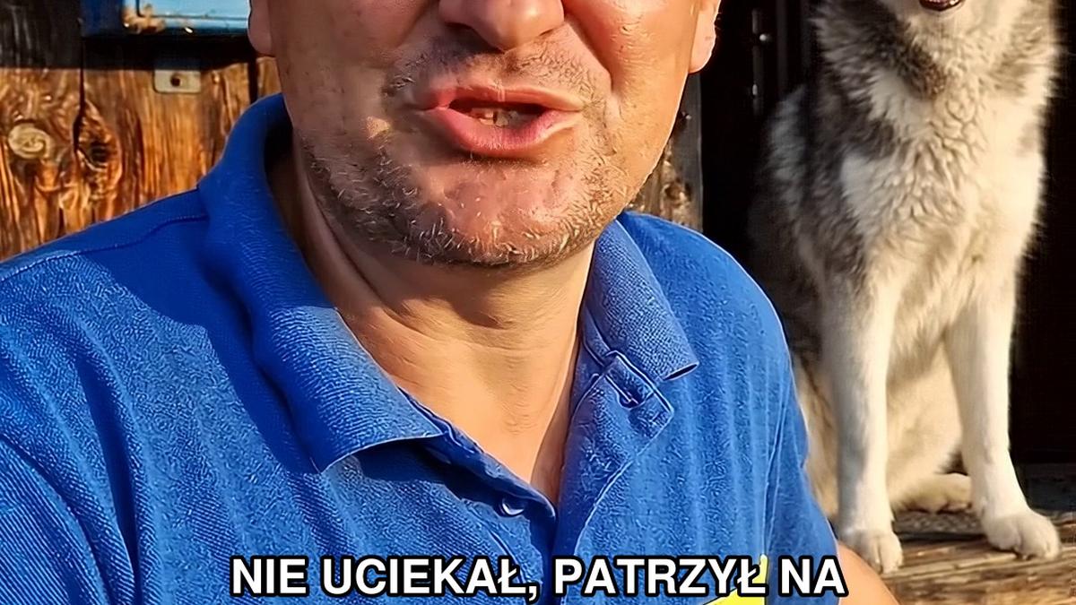 Pies, który pamiętał ganek