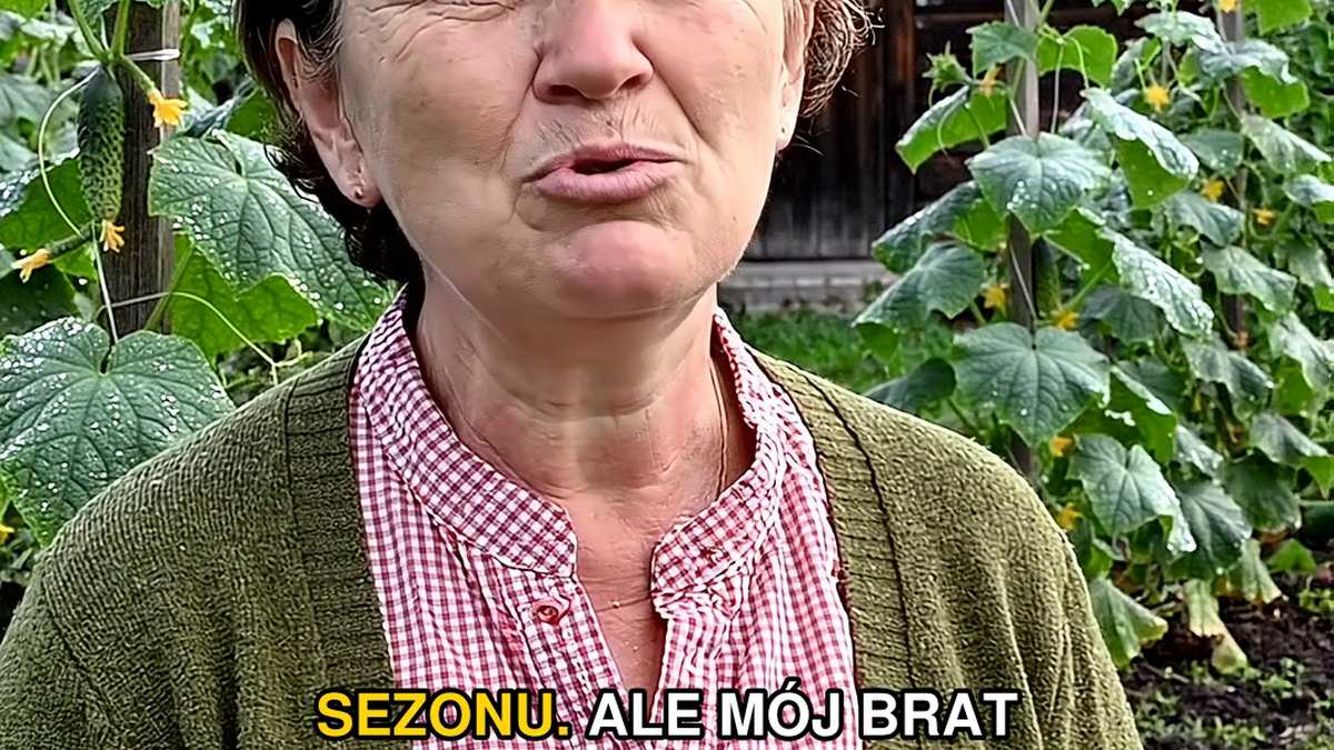 Sekret sąsiadki, który uratował sierpniowe ogórki