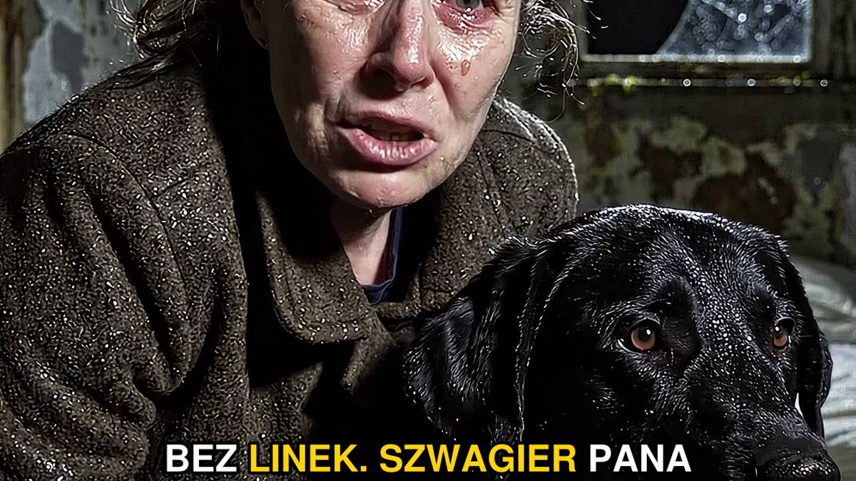 Weterynarz myślał, iż sprzątała mu gabinet i kradła leki, aż jej syn wyjawił, co ukrył jego własny szwagier