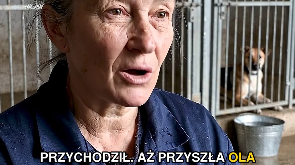 Wetnos szuka domu