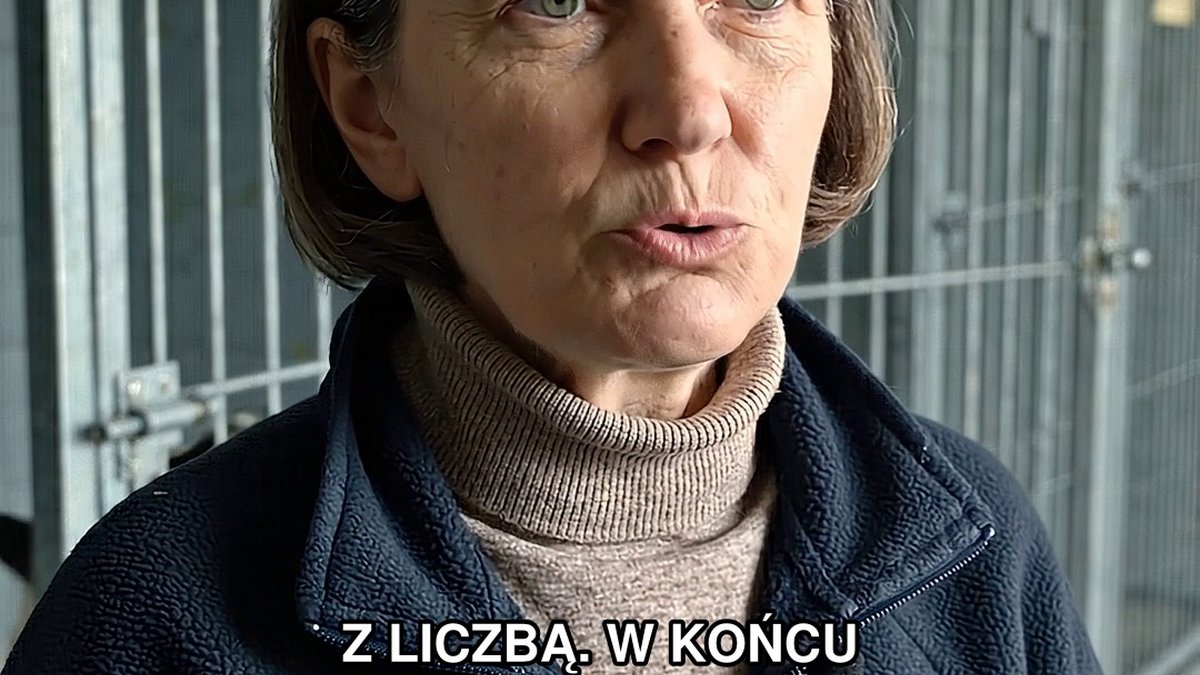 Pies, który liczy dni