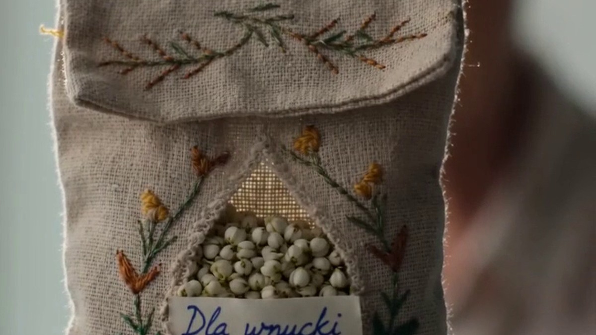 Koniczyna pod płotem pani Basi