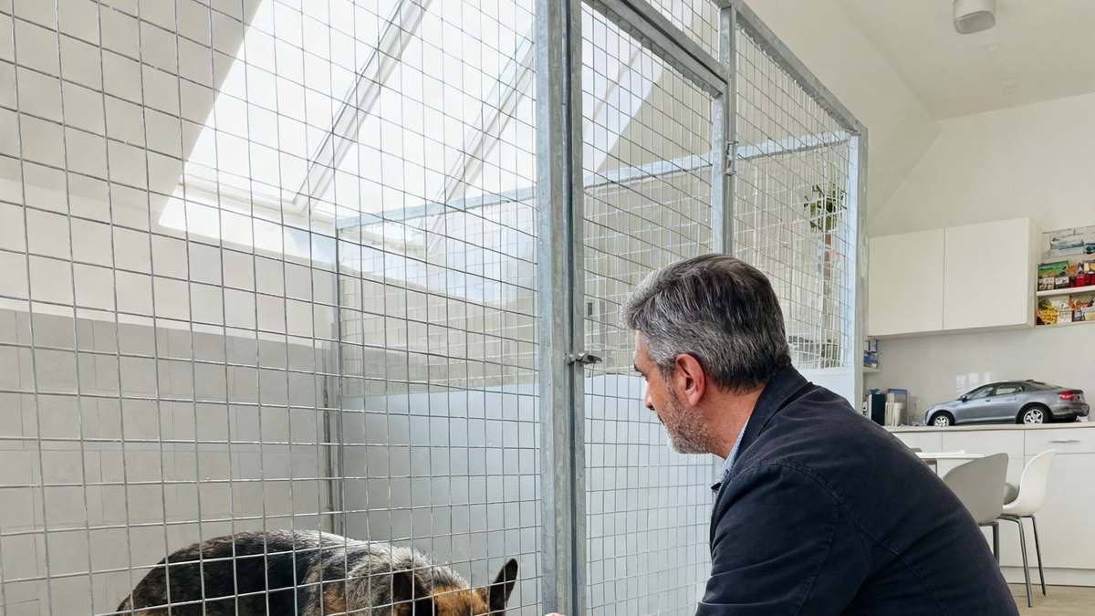 Dwa worki karmy, których nie zostawiłem w Zabrzu