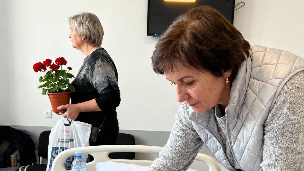 Kobieta, która śpiewa wielbłądom